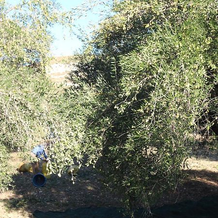 La Locanda Dei Fiori Bompensiere Kültér fotó