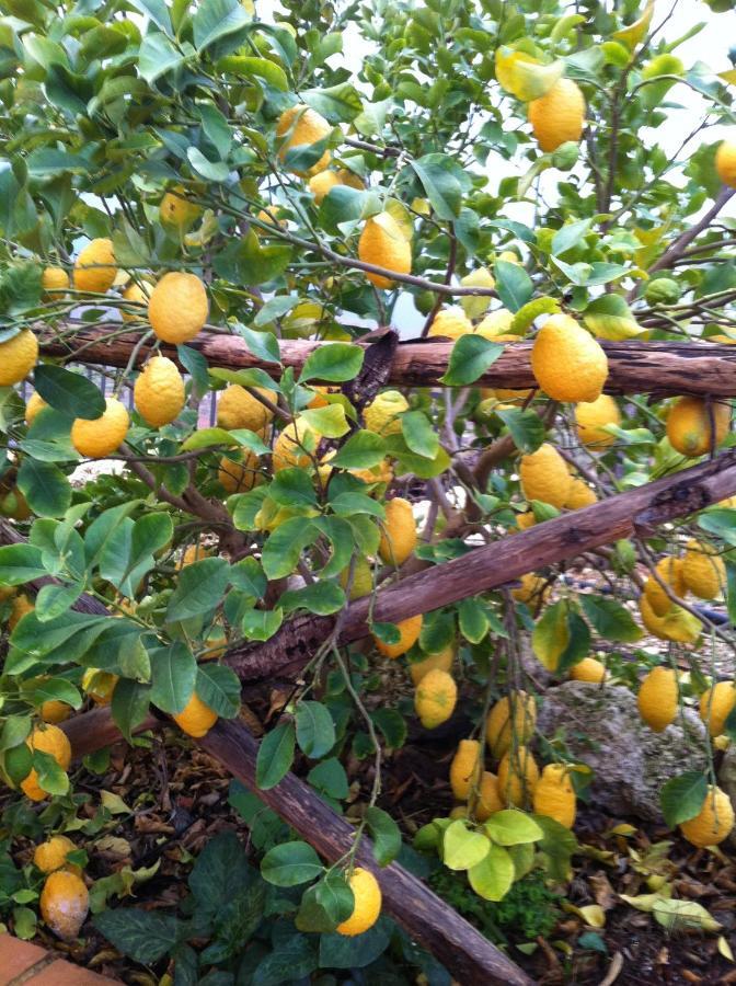 La Locanda Dei Fiori Bompensiere Kültér fotó